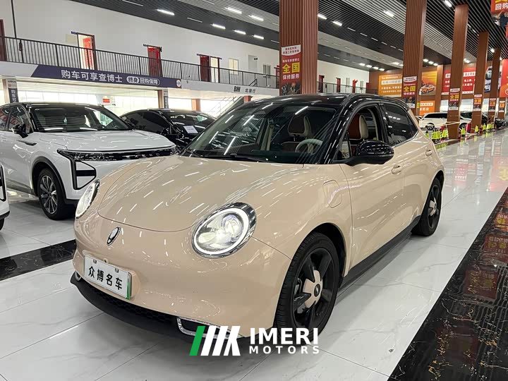 ORA Good Cat 401km Luxury - ავტომობილი ჩინეთიდან