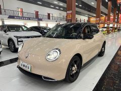 ORA Good Cat 401km Luxury - ფოტო 1