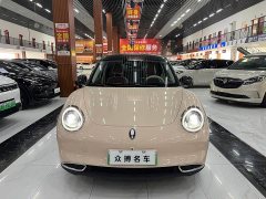 ORA Good Cat 401km Luxury - ფოტო 2
