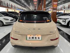 ORA Good Cat 401km Luxury - ფოტო 4