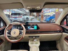 ORA Good Cat 401km Luxury - ფოტო 7