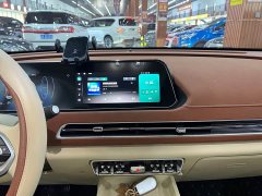 ORA Good Cat 401km Luxury - ფოტო 9