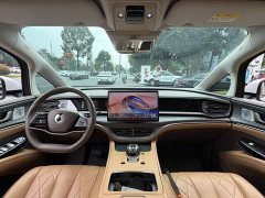 Denza BYD Denza D9 2022 DM-i 1040 Premium - ფოტო 13
