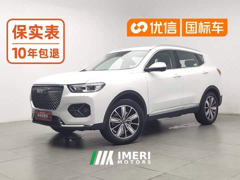 2021 Haval H6 1.5L Turbocharged Automatic Champion Edition - ავტომობილი ჩინეთიდან