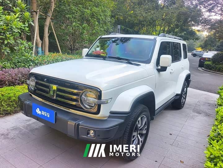 Tank 300 2023 City Edition 2.0T Stylish - ავტომობილი ჩინეთიდან