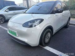 Wuling Binguo 2023 333km Lingxi Connected Plus - ფოტო 1