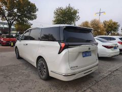 Buick GL8 Luzun Respect Edition - ფოტო 6