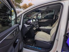 Buick GL8 Luzun Respect Edition - ფოტო 9