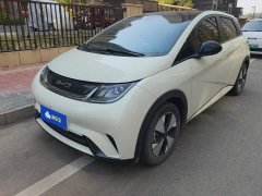 BYD Dolphin 420km Fashion Edition - ფოტო 1