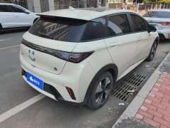 BYD Dolphin 420km Fashion Edition - ფოტო 3