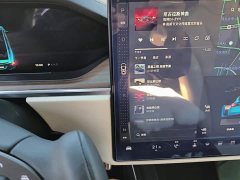 Tesla Model X Dual Motor All-Wheel Drive - ფოტო 16
