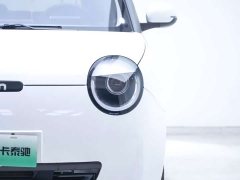 Changan Lumin 2023 205km Xiangqin Edition - ფოტო 11