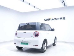 Changan Lumin 2023 205km Xiangqin Edition - ფოტო 14