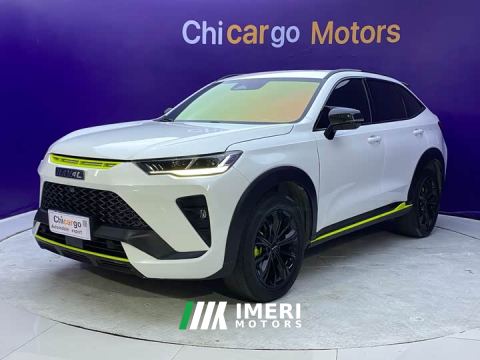 2022 Haval H6S 2.0T Two-Wheel Drive Smart Edition