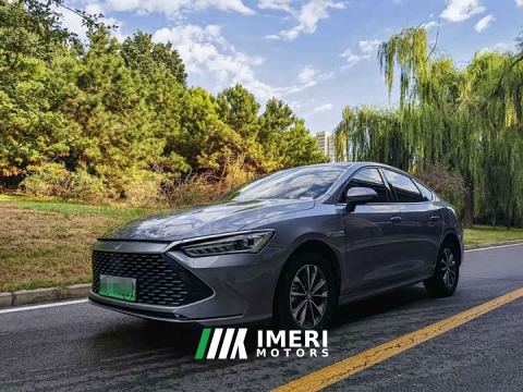 2024 BYD Qin PLUS DM-i Smart Drive Edition 55KM Leading