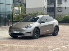 Tesla Model Y Rear-Wheel Drive - ფოტო 1