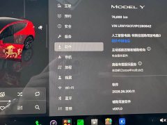Tesla Model Y Rear-Wheel Drive - ფოტო 11