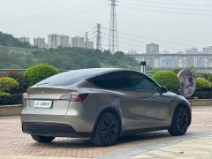 Tesla Model Y Rear-Wheel Drive - ფოტო 13