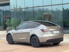 Tesla Model Y Rear-Wheel Drive - ფოტო 15