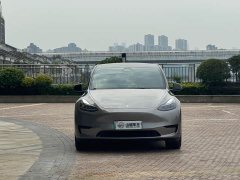 Tesla Model Y Rear-Wheel Drive - ფოტო 2
