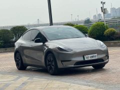 Tesla Model Y Rear-Wheel Drive - ფოტო 3
