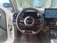 BYD e2 Honor Edition Comfort Edition - ფოტო 12