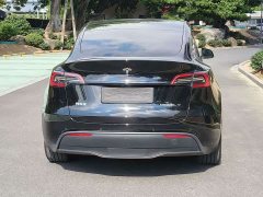 Tesla Model Y Rear-Wheel Drive - ფოტო 17
