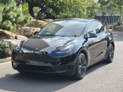 Tesla Model Y Rear-Wheel Drive - ფოტო 3