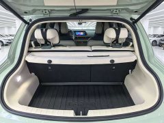 ORA Good Cat 401km Standard Range Deluxe LFP - ფოტო 11