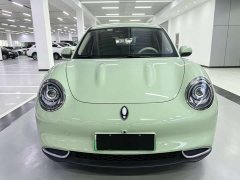 ORA Good Cat 401km Standard Range Deluxe LFP - ფოტო 2