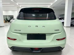 ORA Good Cat 401km Standard Range Deluxe LFP - ფოტო 5