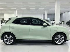 ORA Good Cat 401km Standard Range Deluxe LFP - ფოტო 7