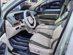 ORA Good Cat 401km Standard Range Deluxe LFP - ფოტო 8