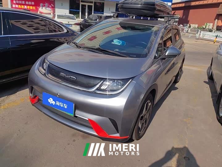 BYD Dolphin 405km Freedom Edition - ავტომობილი ჩინეთიდან