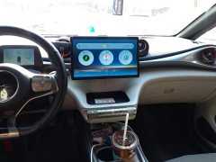 BYD Dolphin 405km Freedom Edition - ფოტო 13