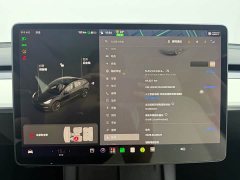 Tesla Model 3 Facelift Standard Range RWD Upgrade 3D1 - ფოტო 20