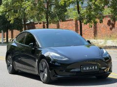Tesla Model 3 Standard Range RWD Upgrade - ფოტო 1
