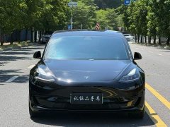 Tesla Model 3 Standard Range RWD Upgrade - ფოტო 2
