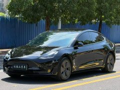 Tesla Model 3 Standard Range RWD Upgrade - ფოტო 3