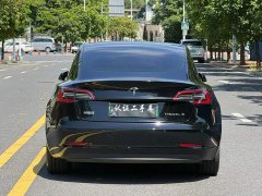 Tesla Model 3 Standard Range RWD Upgrade - ფოტო 5
