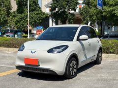 Wuling Binguo 333km Joy Edition - ფოტო 1