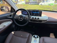 Wuling Binguo 333km Joy Edition - ფოტო 16