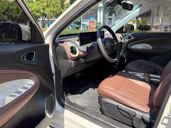 Wuling Binguo 333km Joy Edition - ფოტო 9
