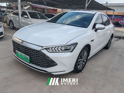 2023 BYD Qin PLUS Champion Edition DM-i 55KM Exceed