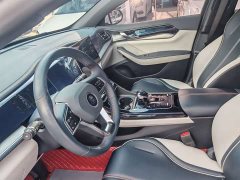 BYD Qin PLUS Champion Edition DM-i 55KM Exceed - ფოტო 4