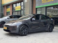 Tesla Model Y Rear-Wheel Drive - ფოტო 2