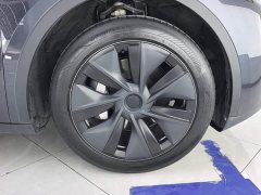 Tesla Model Y Rear-Wheel Drive - ფოტო 6