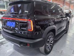 Great Wall Dachshund 1.5T DCT Border Collie Edition - ფოტო 6