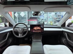Tesla Model 3 Rear-Wheel Drive - ფოტო 10