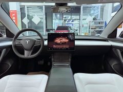 Tesla Model 3 Rear-Wheel Drive - ფოტო 11